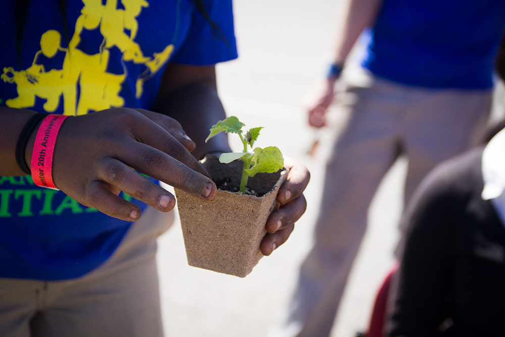 Student holding a seedling to plant