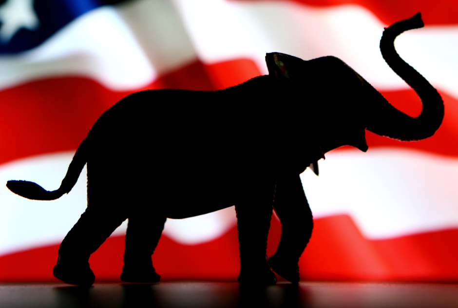 Image of a elephant silhouetted against the US flag