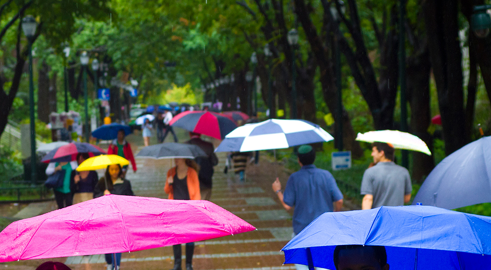 People holding umbrellas on Locust Walk
