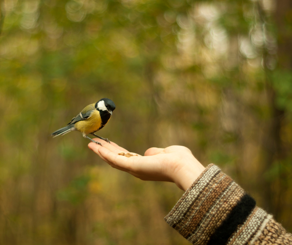 hand holding bird