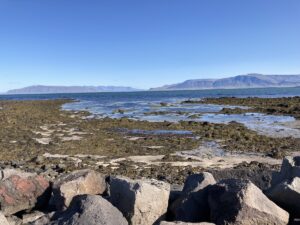 Views while cycling along the paths that arc around the beautiful Icelandic coastline near Reykjavik