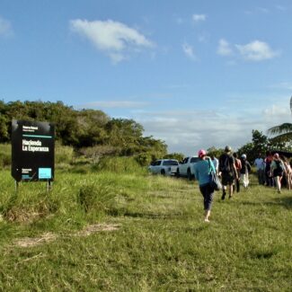 visitors to a natural reserve walking through grass back to their vehicles. Blue skies and trees in distance.