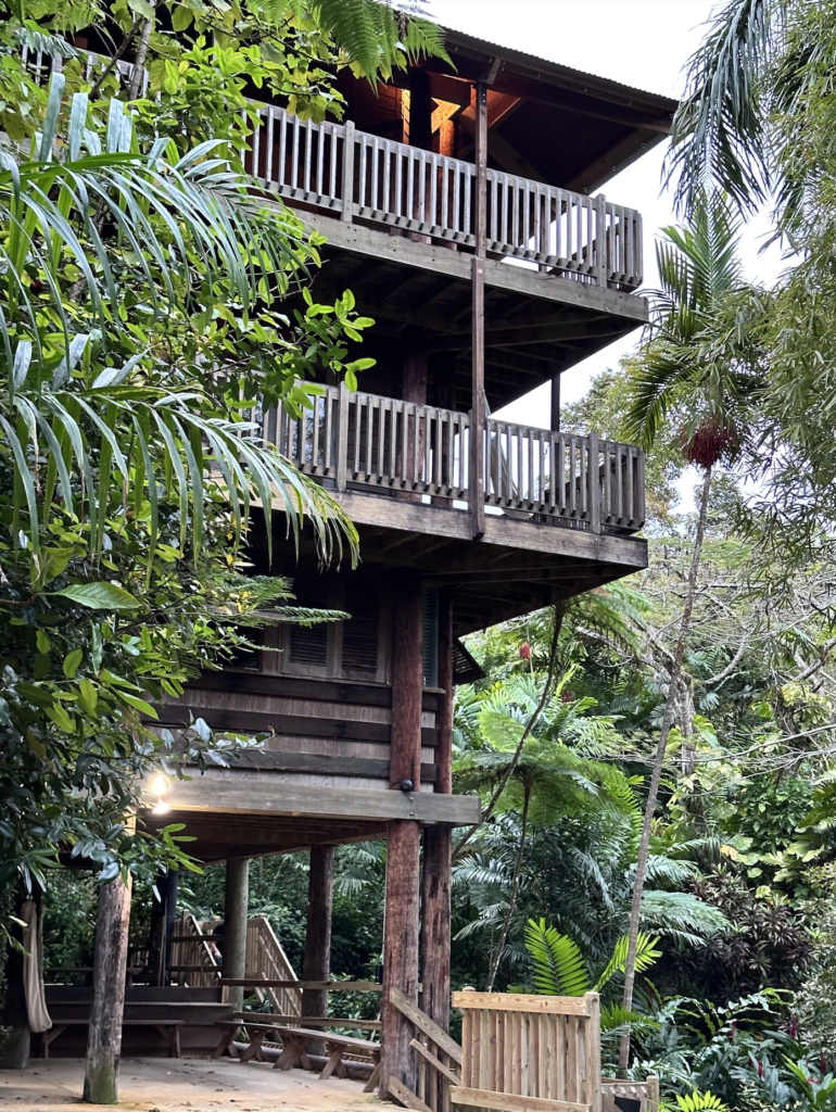 four story building constructed out of grayish brown wood surrounded by greenery and tall trees