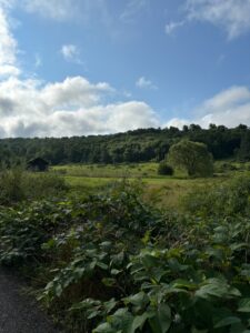 Outdoor landscape of blue sky and farm land