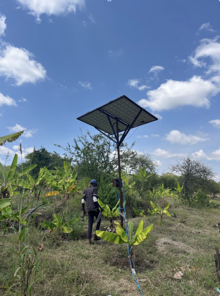 A solar panel pump irrigating banana trees