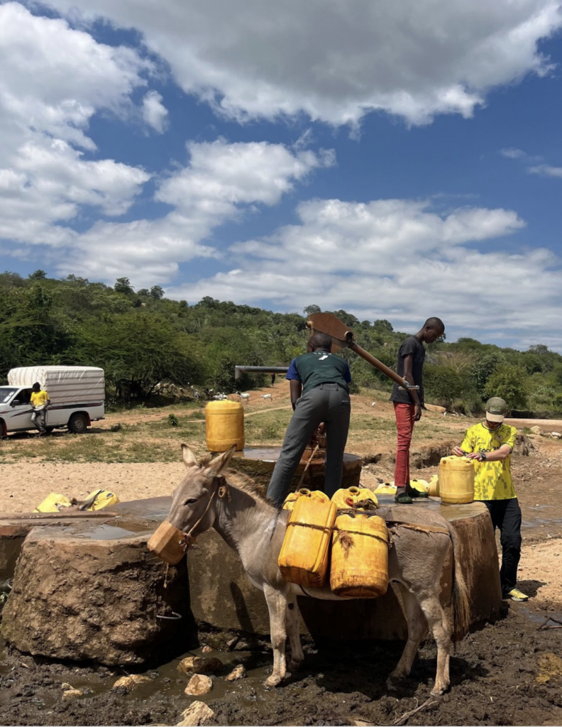 A mule at a well in Kenya