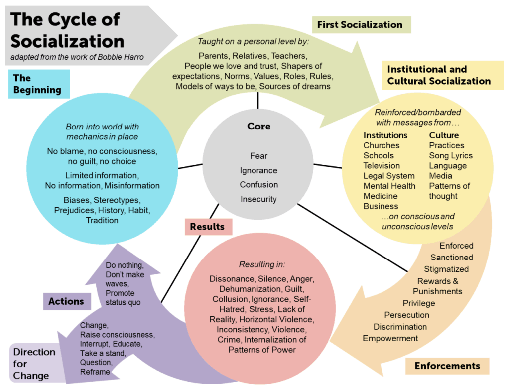 The Cycle of Socialization Chart