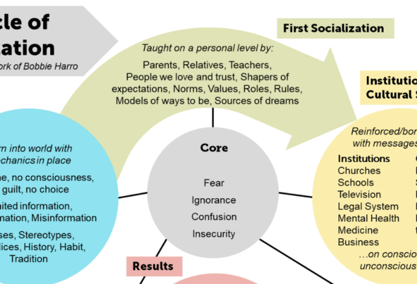 banner image of the Cycle of Socialization