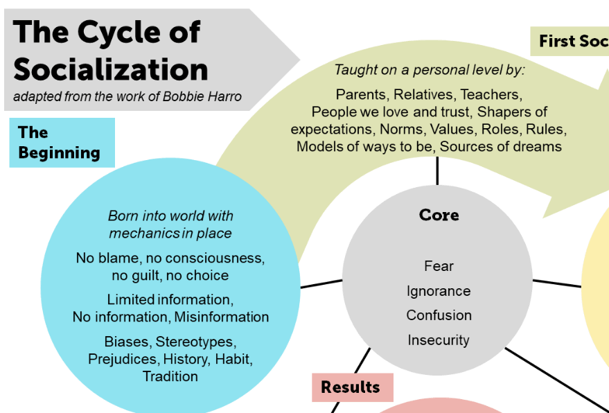 banner image of the Cycle of Socialization