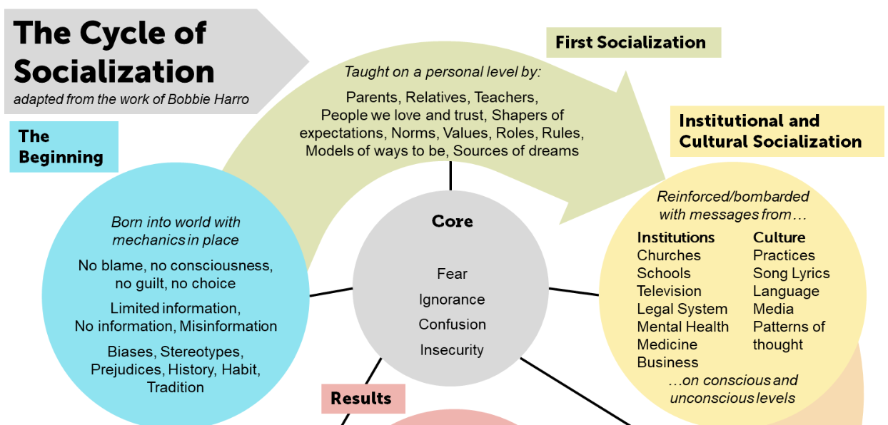 banner image of the Cycle of Socialization